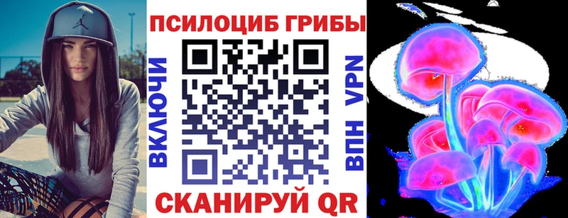 где найти наркотики  Чухлома  Псилоцибиновые грибы ЛСД 